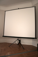 Projector screen
